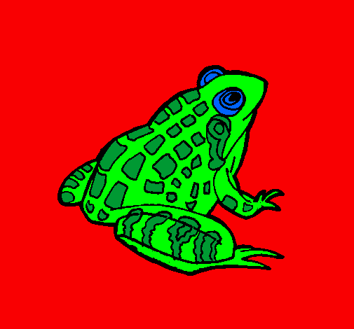 Coloring page Frog painted bylouis