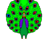 Coloring page Peacock painted byRODOLFO