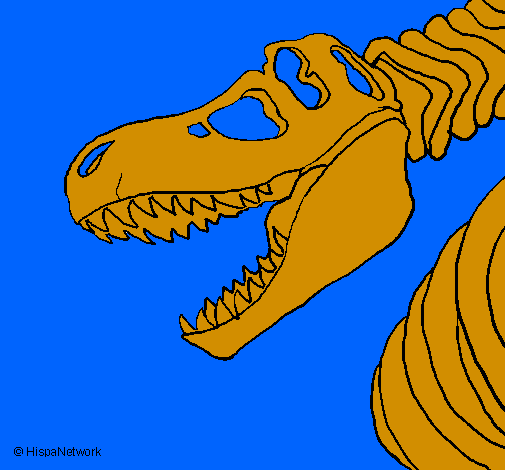 Coloring page Tyrannosaurus Rex skeleton painted byivo
