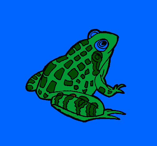 Coloring page Frog painted bycarlos