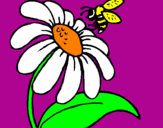 Coloring page Daisy with bee painted byanilkanida