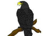 Coloring page Eagle on branch painted bymarc comas