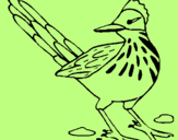 Coloring page Roadrunner painted byMia 