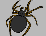 Coloring page Poisonous spider painted bycarlos