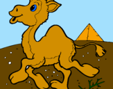 Coloring page Camel painted byali