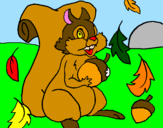 Coloring page Squirrel painted bymn
