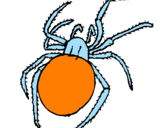Coloring page Poisonous spider painted byNoah