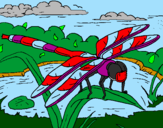 Coloring page Dragonfly painted byButtfly 