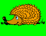 Coloring page Hedgehog painted bycori