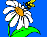 Coloring page Daisy with bee painted byamilkanida