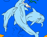 Coloring page Dolphins playing painted byabbie goodacre xx