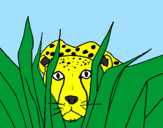 Coloring page Cheetah painted byrishikesh