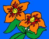 Coloring page Flowers painted byalanna