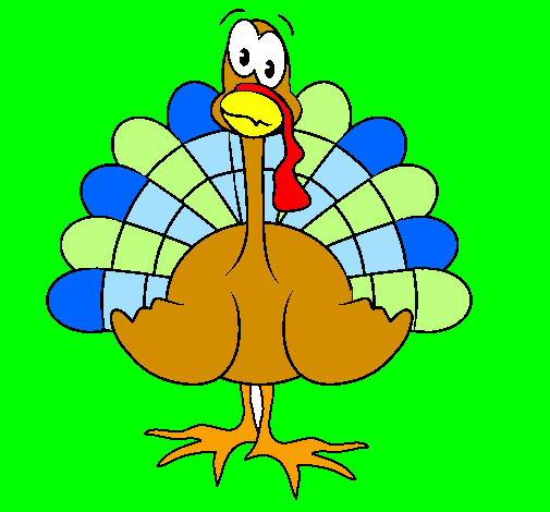 Coloring page Turkey painted bypitufo