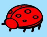 Coloring page Ladybird painted byCharlotte6