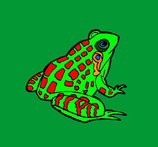 Coloring page Frog painted byyellow knight