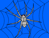 Coloring page Spider painted byhammza