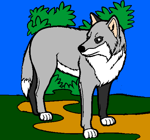 Coloring page Wolf painted byThieli
