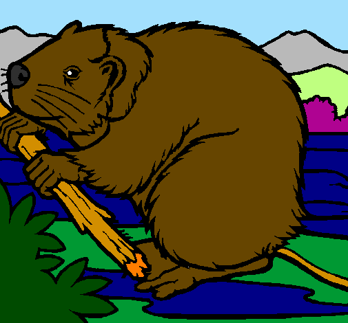 Coloring page Beaver  painted byThieli