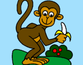 Coloring page Monkey painted byThieli