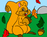 Coloring page Squirrel painted byThieli