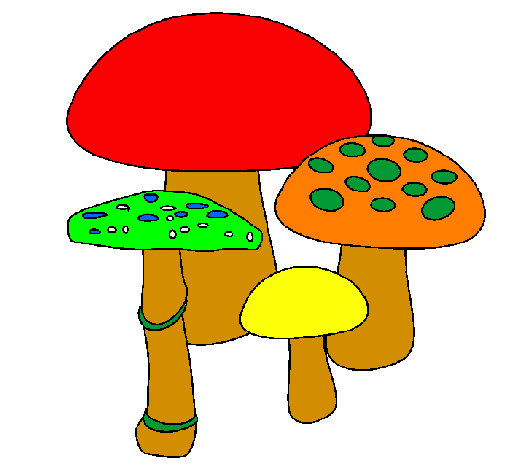 Coloring page Mushrooms painted bydiana portillo