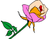 Coloring page Rose painted byJayden