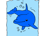 Coloring page Dolphin painted bychloe 
