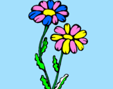 Coloring page Daisies painted bydiana portillo