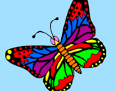 Coloring page Butterfly 4 painted bynate did this tricerotop