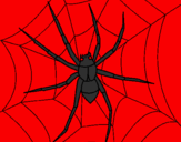 Coloring page Spider painted byhgfh