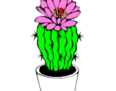 Coloring page Cactus with flower painted byNish