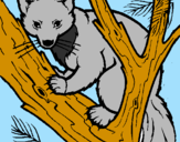 Coloring page Pine marten in tree painted bygabriel