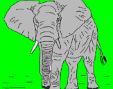Coloring page Elephant painted byhgfh