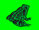 Coloring page Frog painted byhgfh