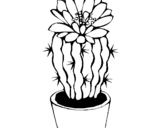 Coloring page Cactus with flower painted byNish
