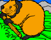 Coloring page Beaver  painted byjorge