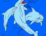 Coloring page Dolphins playing painted byTIAGO