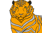 Coloring page Tiger painted byTIAGO