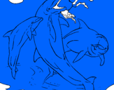 Coloring page Dolphins playing painted byTHEODORO