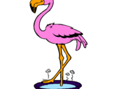 Coloring page Flamingo with soaking feet  painted byalex