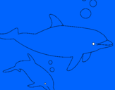 Coloring page Dolphins painted bydaniel