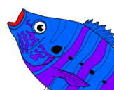 Coloring page Fish painted bydaniel