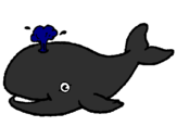 Coloring page Whale shooting out water painted bymason