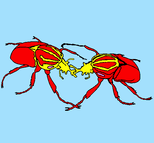 Coloring page Beetles painted byana luiza