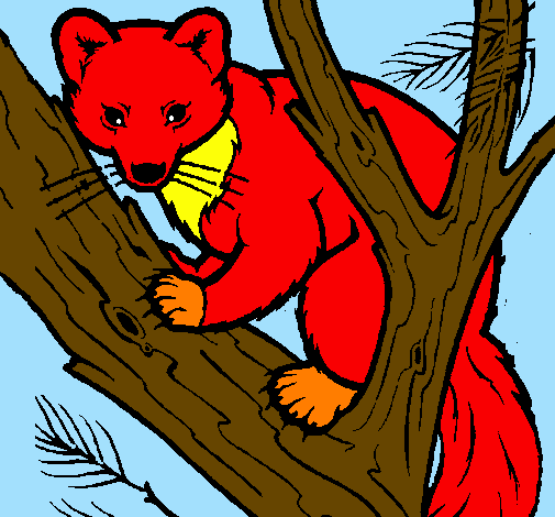 Coloring page Pine marten in tree painted byana luiza