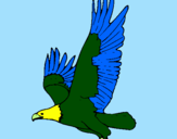Coloring page Eagle flying painted byanaluiza