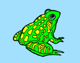 Coloring page Frog painted byana luiza