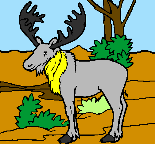 Coloring page Moose painted byana luiza