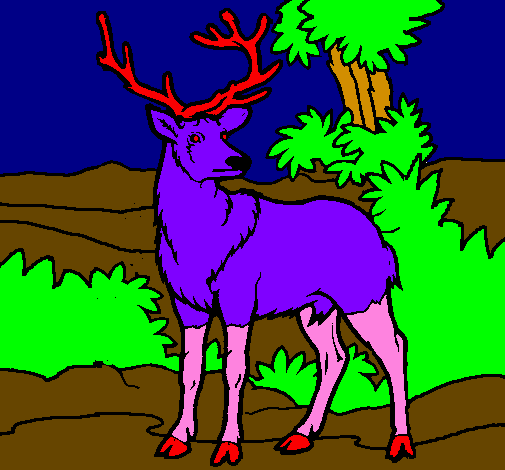 Coloring page Adult deer painted byana luiza